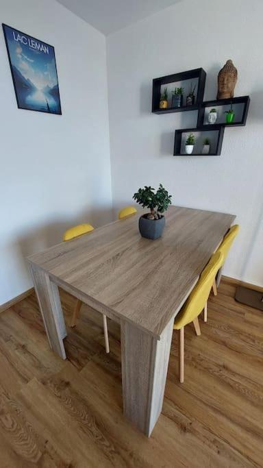 Appart Cosy Avec Vue Sur Le Lac Leman Évian-les-Bains Extérieur photo