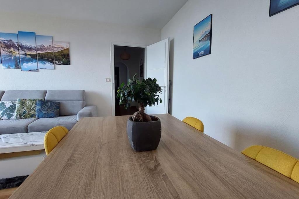 Appart Cosy Avec Vue Sur Le Lac Leman Évian-les-Bains Extérieur photo